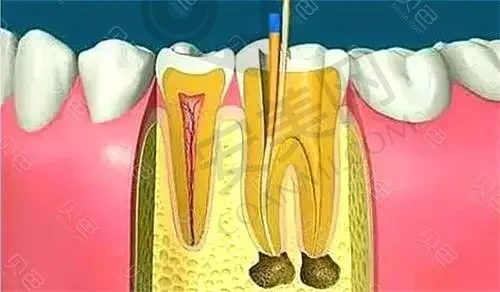 沈阳百嘉丽口腔门诊部