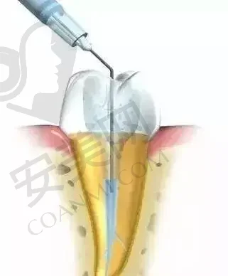 长春华植口腔门诊部