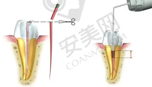 北京天坛医院口腔科