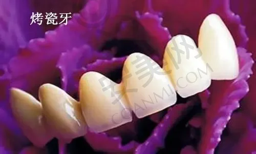 厦门齿度口腔医院