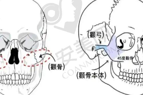 上海首尔丽格整形医院院长对医院的发展有哪些规划？