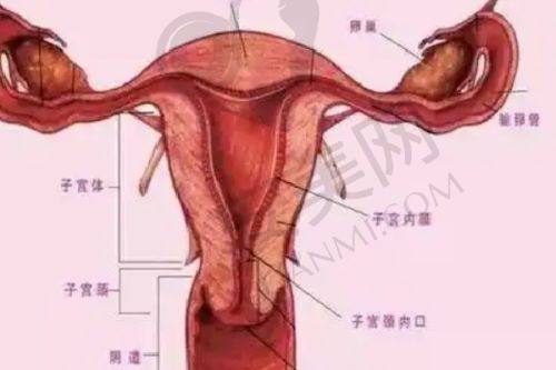 未来济南诺德医疗美容医院在地址和电话服务上会有哪些发展？