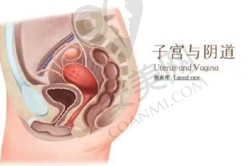深圳鹏程医院疤痕科：专精的祛疤、去胎记之选