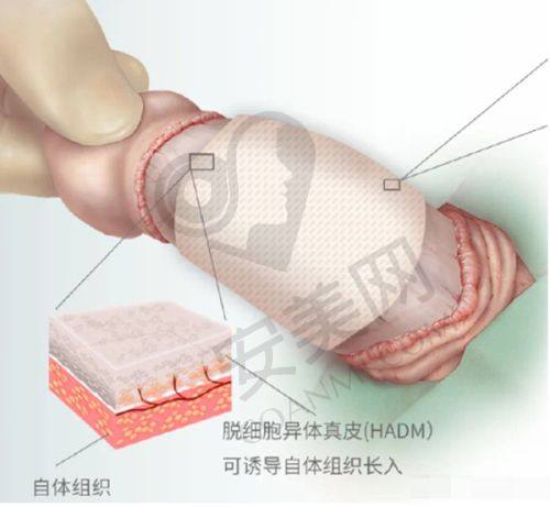 合肥维多利亚整形医院的医生服务态度怎么样？
