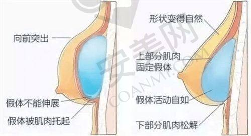 赣州市中 心医院植发中 心