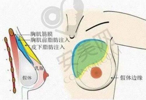 烟台壹美天成医疗美容医院基本资料：