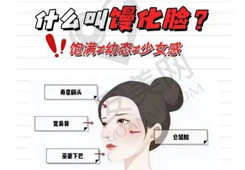 2、烟台壹美天成曲梅医生擅长项目：