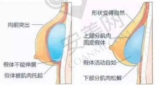 北京联合丽格第1医疗美容医院：口碑人气双高