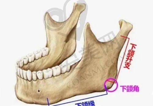 合肥华美朱德刚院长（隆鼻）技术优势