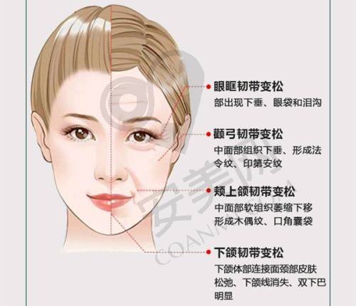 中山美南华美容医院预约挂号流程：