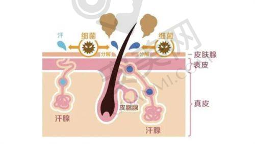1. 艺星林华芬医生做幼态脸怎么样？
