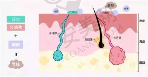 医院地址与医院服务的关联