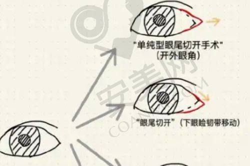 上海华美医疗美容医院提供哪些特色服务项目？