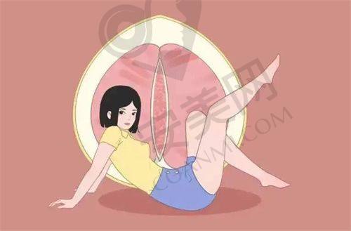我的修复之旅与希望