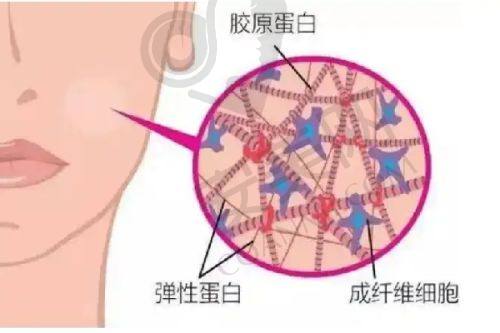 毳生植发的正规性