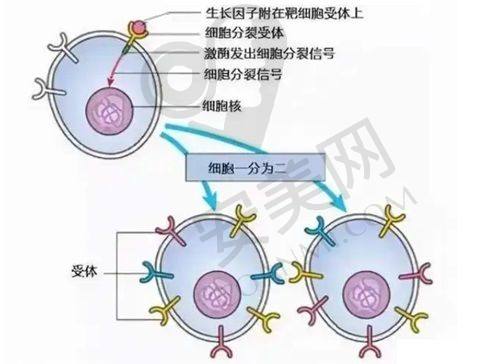 上海华美医院外轮廓塑形能带来哪些改变？