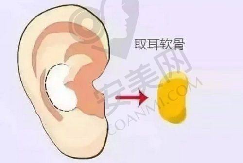总结与建议
