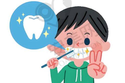 七、儿童牙齿价格情况