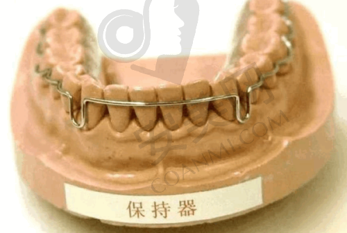 宁波慈溪圣甬口腔李忠磊医生擅长项目