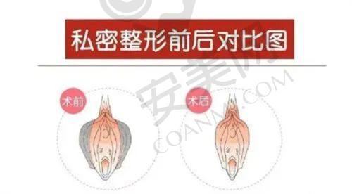 毳生植发的医生团队
