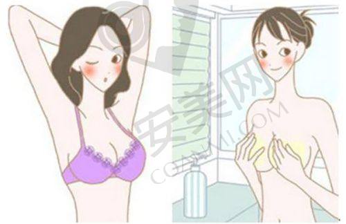 预约电话能提供哪些服务？
