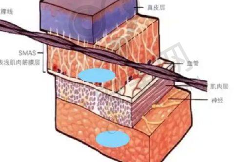 4、保定驭颜肖蕾医生社会职称