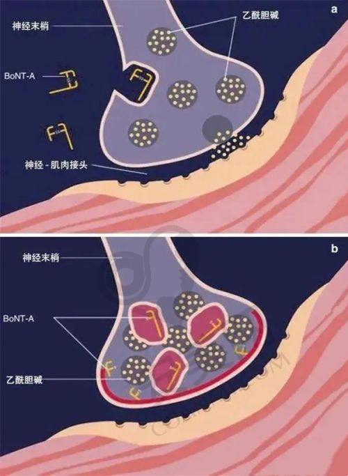 南京美莱的服务质量真的差吗？