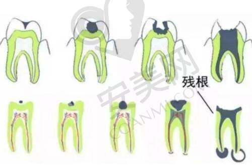 服务项目：哪家更能满足多样需求？