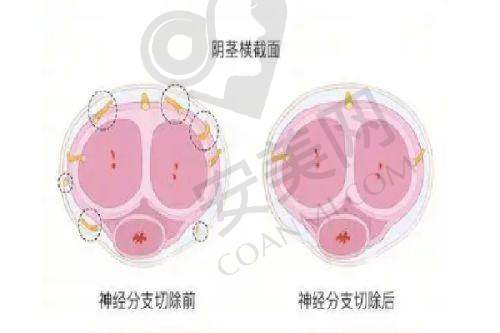 价格体系：哪家医院性价比更高？