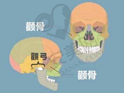 7D半岛黄金超声炮是什么，它有什么独特之处？