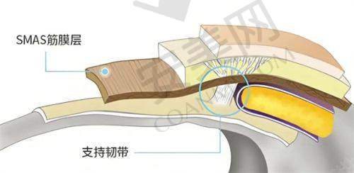 3、西安晶肤黄海燕医生擅长项目技术怎么样？