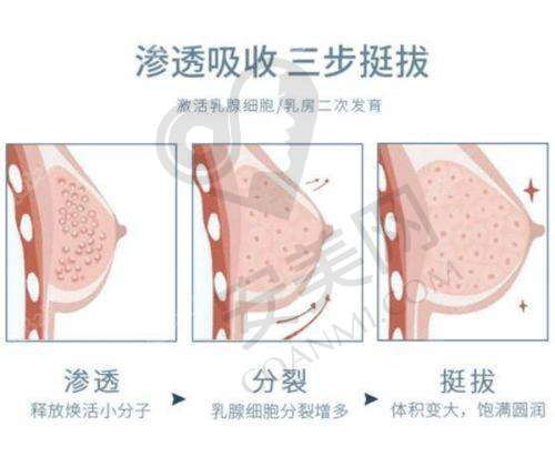 郑州东方整形面部轮廓整形收费标准是什么？