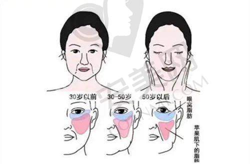三、苏州维多利亚美容医院基本资料：