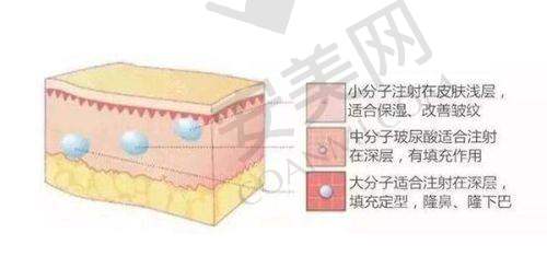 北京联合丽格有相关的资质证书吗？