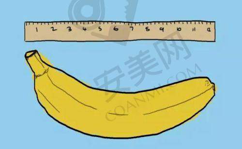 三、价格分析