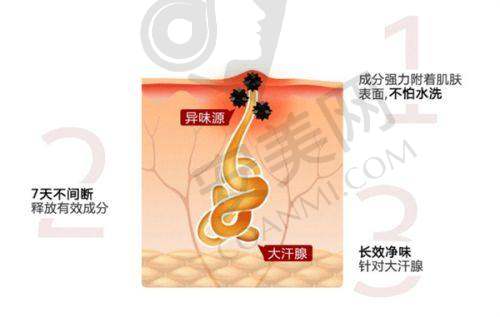 4、郑州壹加壹马文章医生社会职称