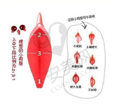 就诊过程中的服务体验怎么样？