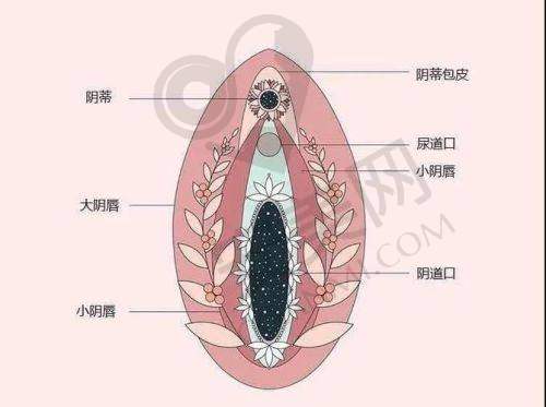 对其他有需求的女性有什么建议？
