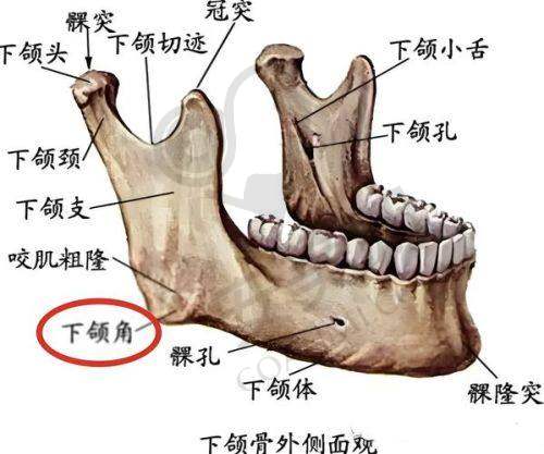张笑天医生在颌角磨骨领域经验如何？