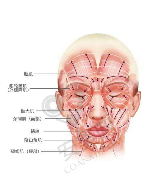 术后修复情况如何？
