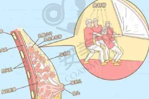 赣州亚韩吴礼诚降胸值得这个价格吗？