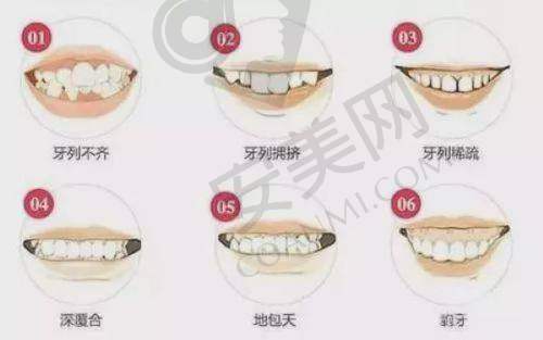 医疗团队实力比拼，谁的医生更专精？