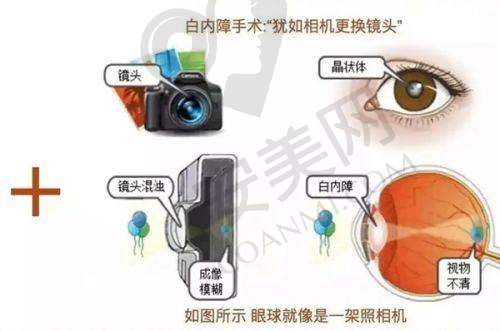 天津爱丽诺医疗美容医院地址电话：