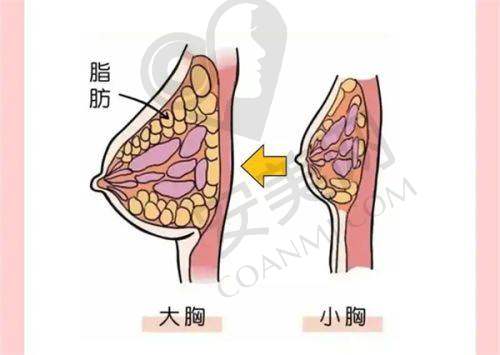2、昆明杰西艾高丹医生擅长项目：