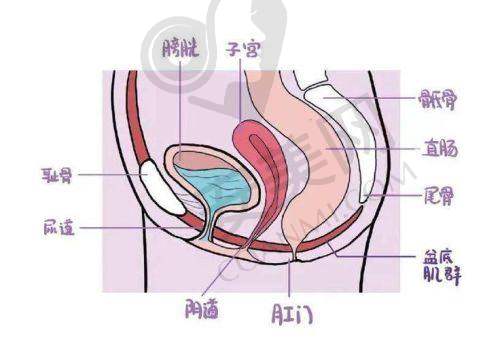重庆军美紧缩紧缩术价格为何如此吸引人？