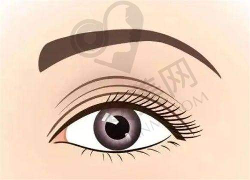 哈尔滨韩美医疗美容门诊部预约挂号流程：