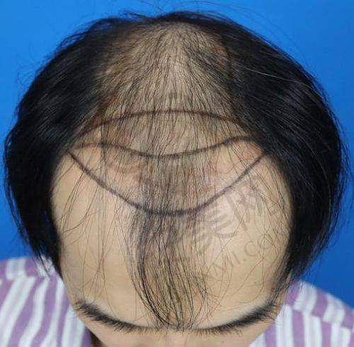 总结与建议