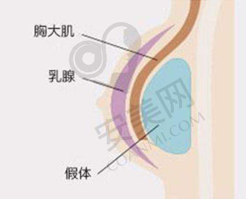 5、北京润美玉之光汪新伟医生患者评价