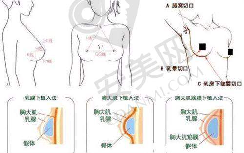 公交乘车路线攻略
