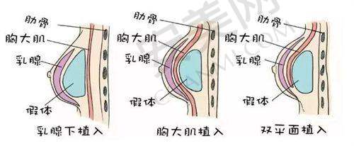 南京市康美整形的等级对其发展有什么作用？